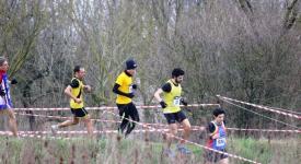 Terza prova Bologna Cross 2024 CSI Bologna Terza prova Bologna Cross 2024 CSI Bologna