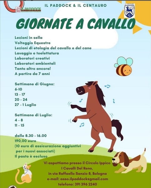 paddock centri estivi