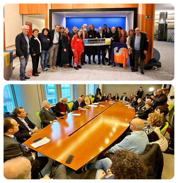 Casa dei Risvegli Amici di Luca e Csi Bologna insieme a Bruxelles 1