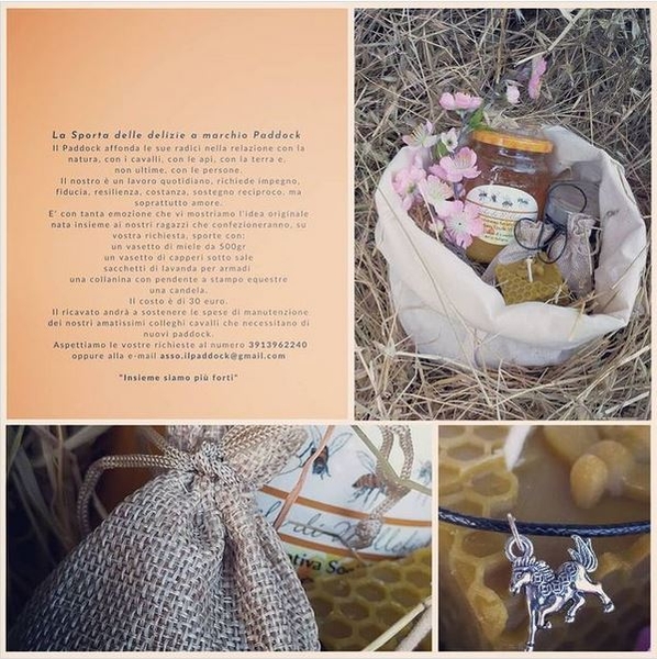 la sporta delle delizie