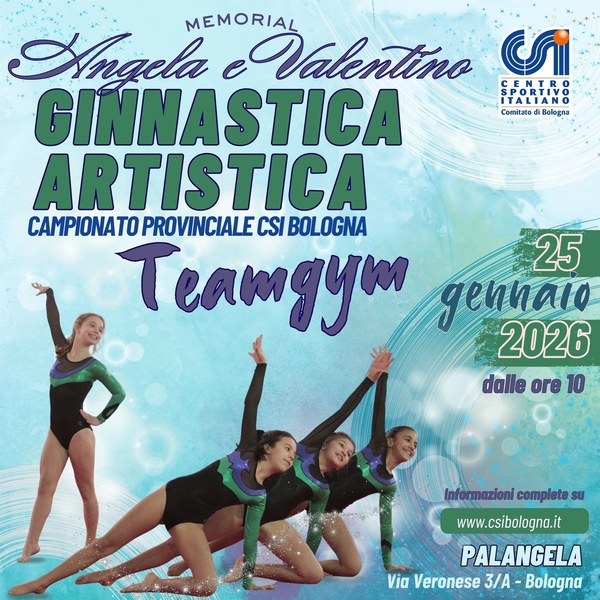 TeamGym1