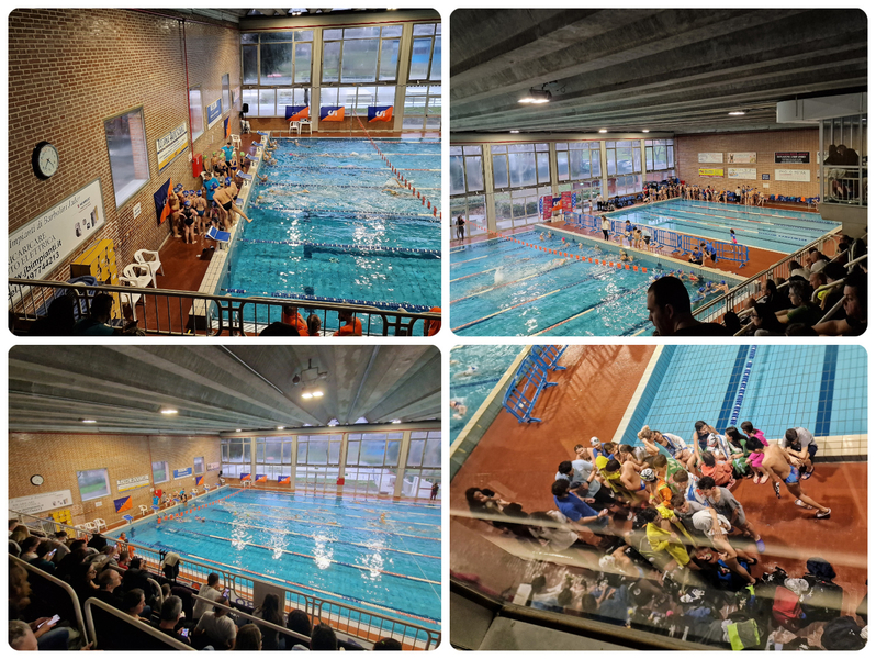 Nuoto Csi in 500 a Casalecchio per la prova regionale