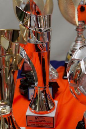 20045337 825017620986418 3662920924502110000 o