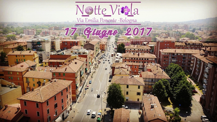 Notte Viola 2017 1