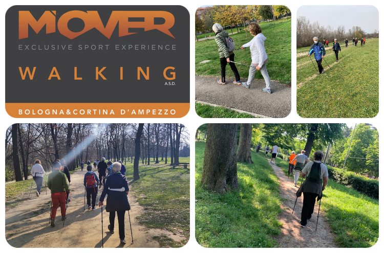 Nordic Walking collage