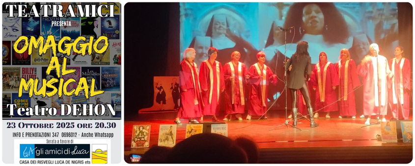 Omaggio al Musical per la Casa dei Risvegli Luca De Nigris 1