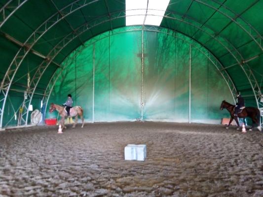 La cura del cavallo è la prima vera terapia 1