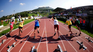 servizio di consulenza assicurativa